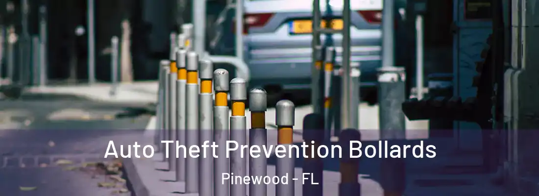 Auto Theft Prevention Bollards Pinewood - FL