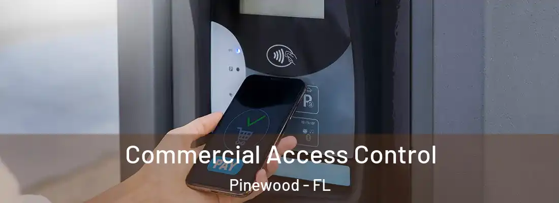  Commercial Access Control Pinewood - FL
