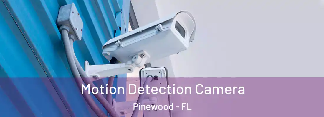  Motion Detection Camera Pinewood - FL