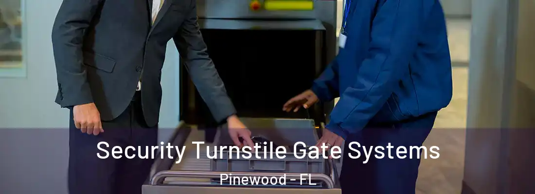  Security Turnstile Gate Systems Pinewood - FL