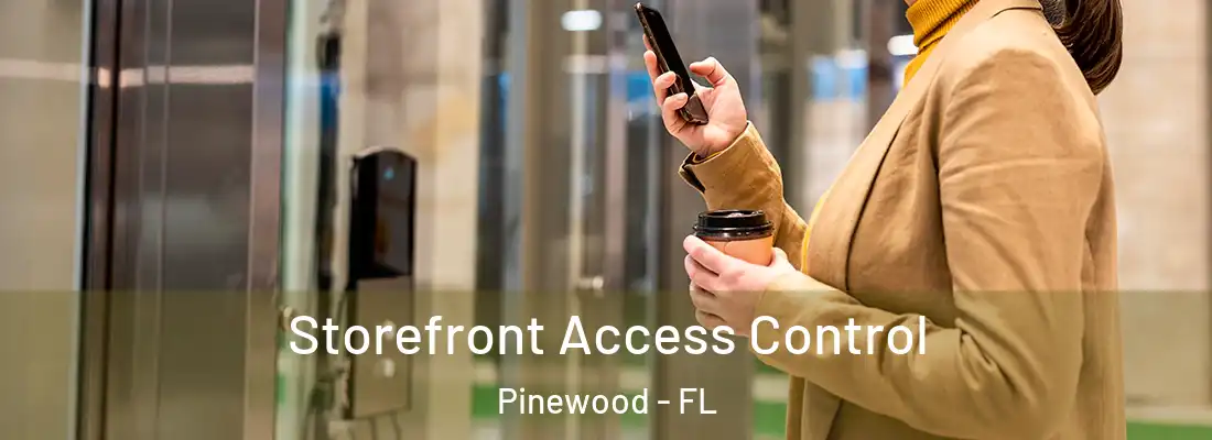 Storefront Access Control Pinewood - FL